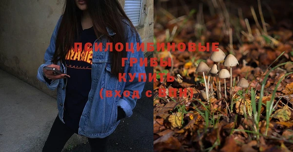 крисы Заволжье