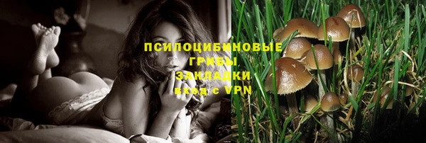 крисы Заволжье